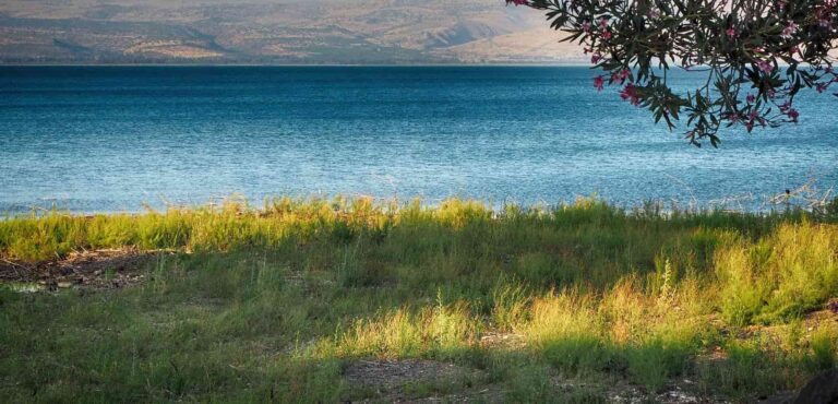 Świadectwo brata Krzysztofa